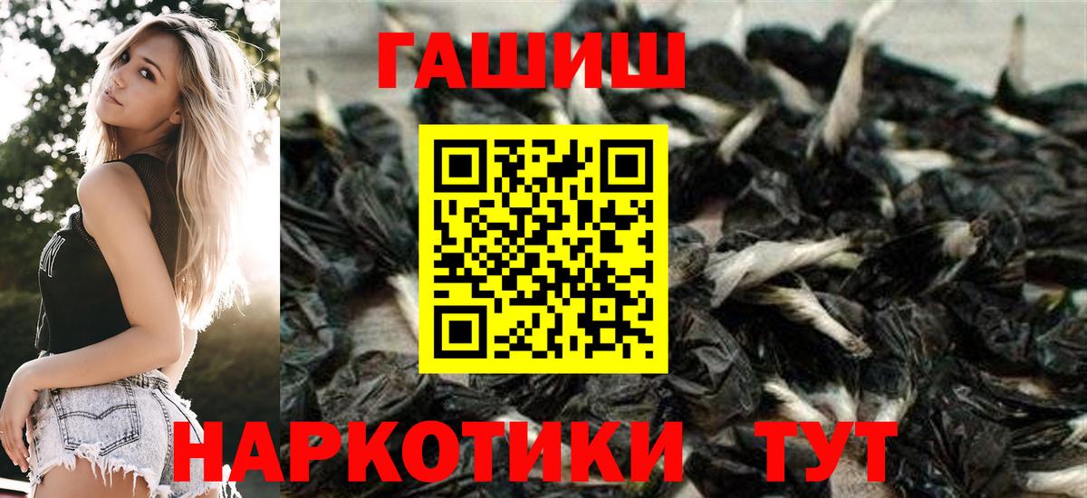 ГАШ  Вход с VPN  Луга  ГАШИШ ice o lator 