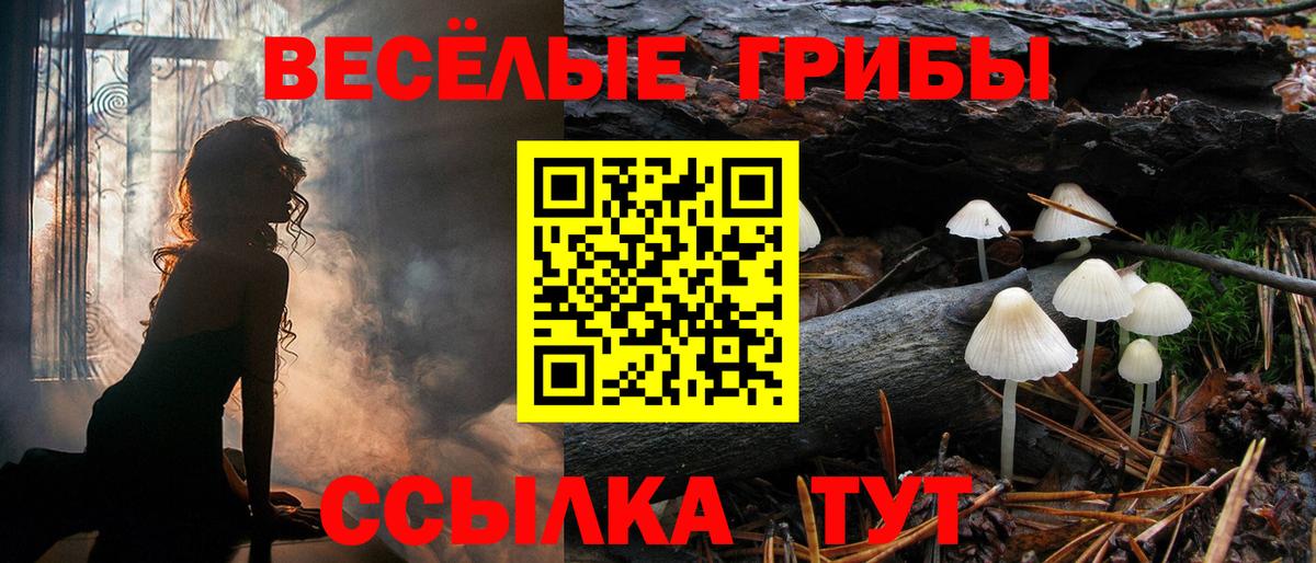 Галлюциногенные грибы мицелий Луга
