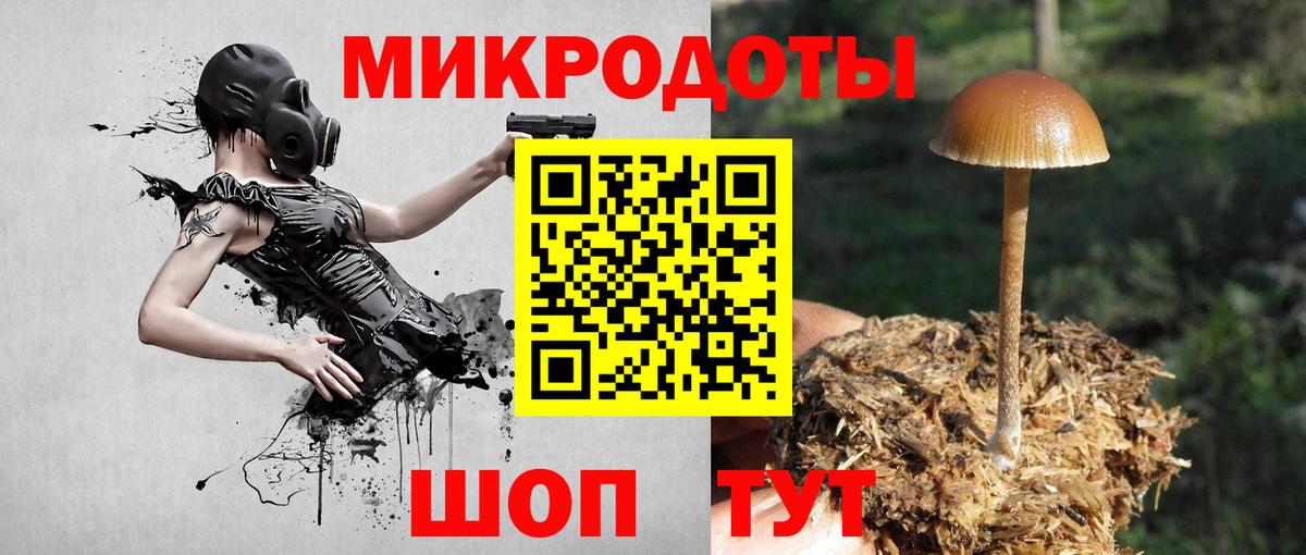 Луга  Псилоцибиновые грибы мухоморы  Вход с VPN  Галлюциногенные грибы Psilocybine cubensis 